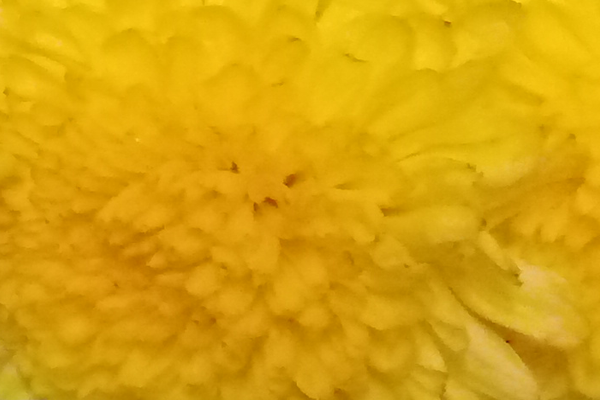 Border images / lines / design / pictures / background colors / background pictures