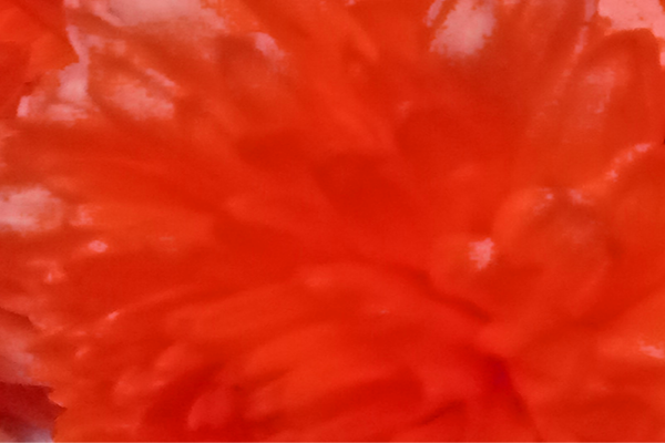 Border images / lines / design / pictures / background colors / background pictures