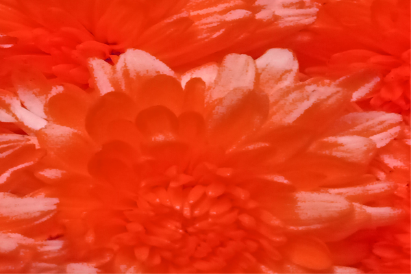 Border images / lines / design / pictures / background colors / background pictures