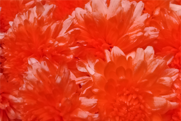 Border images / lines / design / pictures / background colors / background pictures