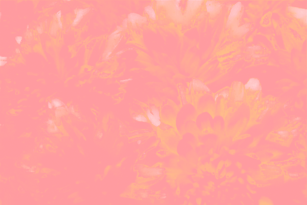 Border images / lines / design / pictures / background colors / background pictures