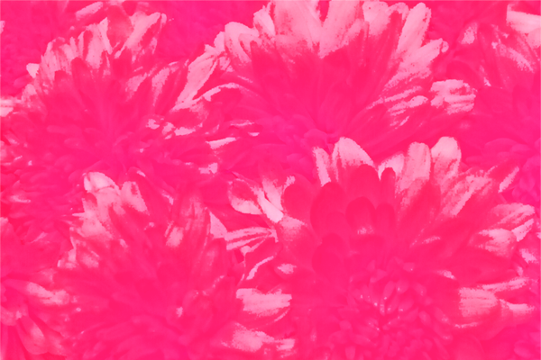 Border images / lines / design / pictures / background colors / background pictures