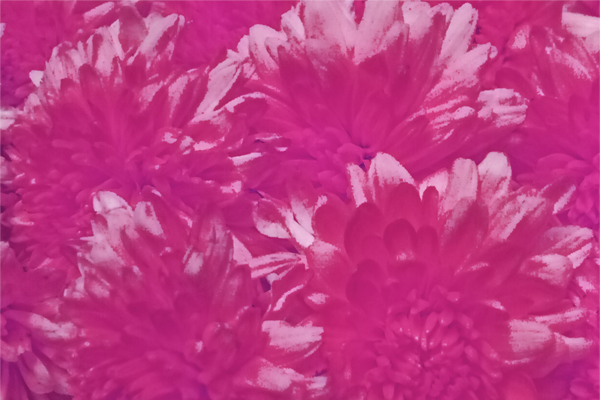 Border images / lines / design / pictures / background colors / background pictures