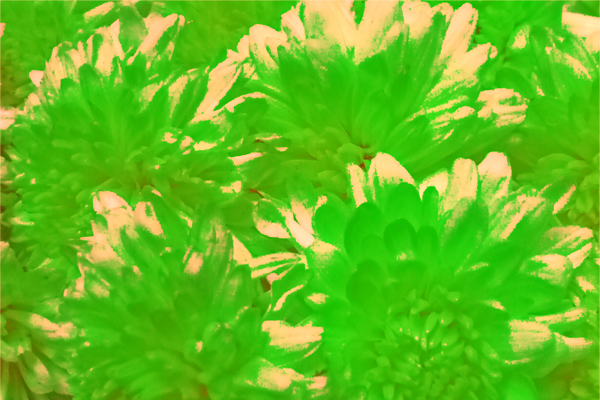 Border images / lines / design / pictures / background colors / background pictures