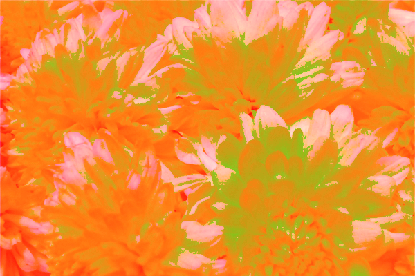 Border images / lines / design / pictures / background colors / background pictures