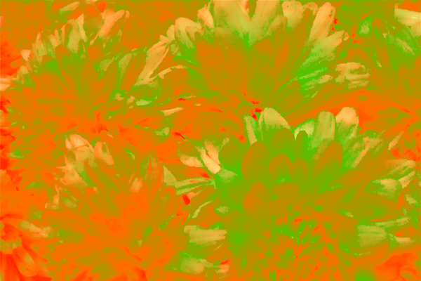 Border images / lines / design / pictures / background colors / background pictures