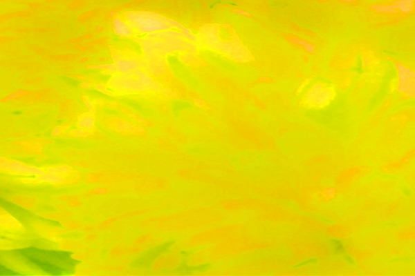 Border images / lines / design / pictures / background colors / background pictures