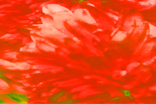 Border images / lines / design / pictures / background colors / background pictures