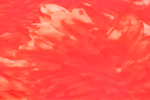 Border images / lines / design / pictures / background colors / background pictures