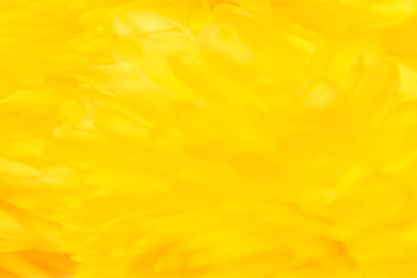 Border images / lines / design / pictures / background colors / background pictures