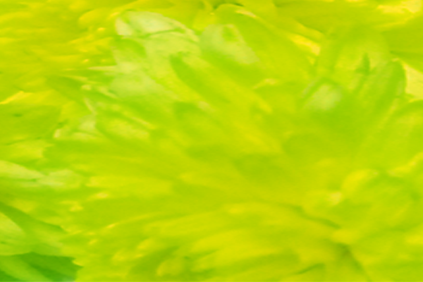 Border images / lines / design / pictures / background colors / background pictures