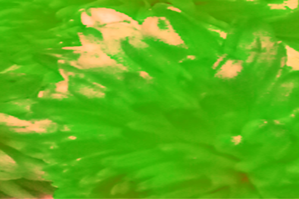 Border images / lines / design / pictures / background colors / background pictures