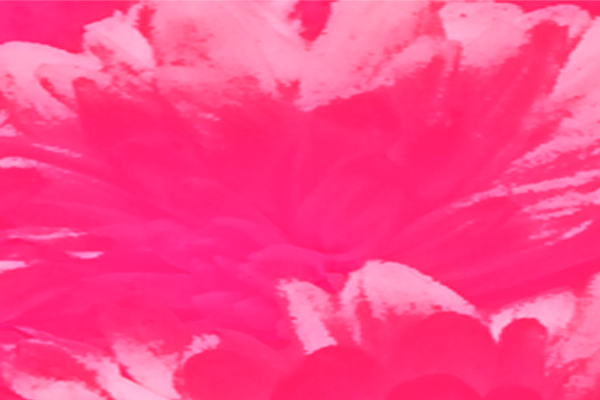 Border images / lines / design / pictures / background colors / background pictures