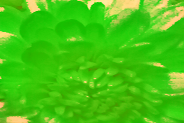 Border images / lines / design / pictures / background colors / background pictures