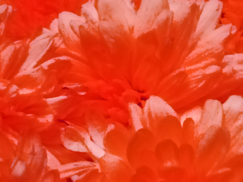 Border images / lines / design / pictures / background colors / background pictures