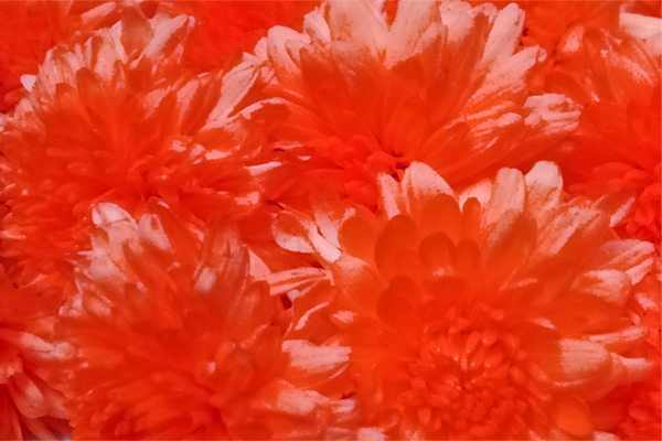 Border images / lines / design / pictures / background colors / background pictures