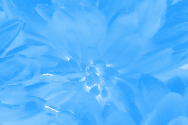 Border images / lines / design / pictures / background colors / background pictures