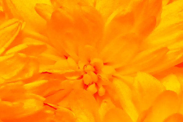 Border images / lines / design / pictures / background colors / background pictures