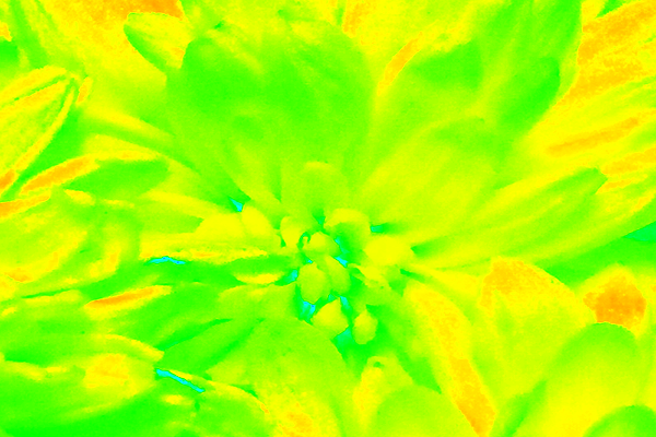 Border images / lines / design / pictures / background colors / background pictures