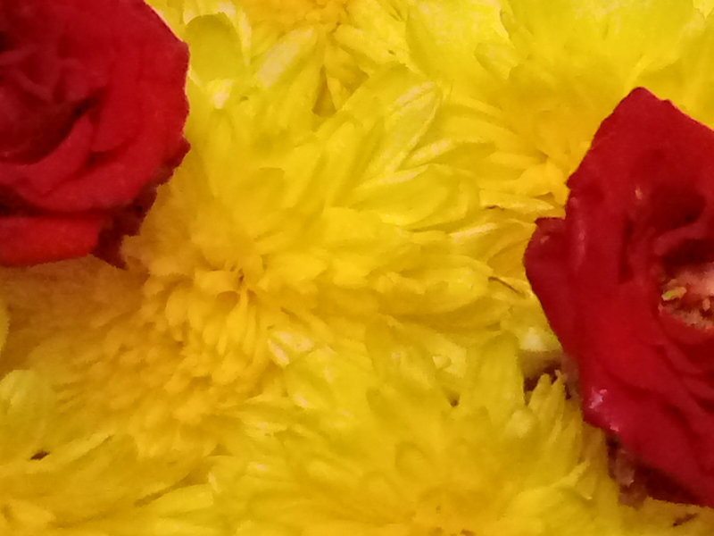 Border images / lines / design / pictures / background colors / background pictures