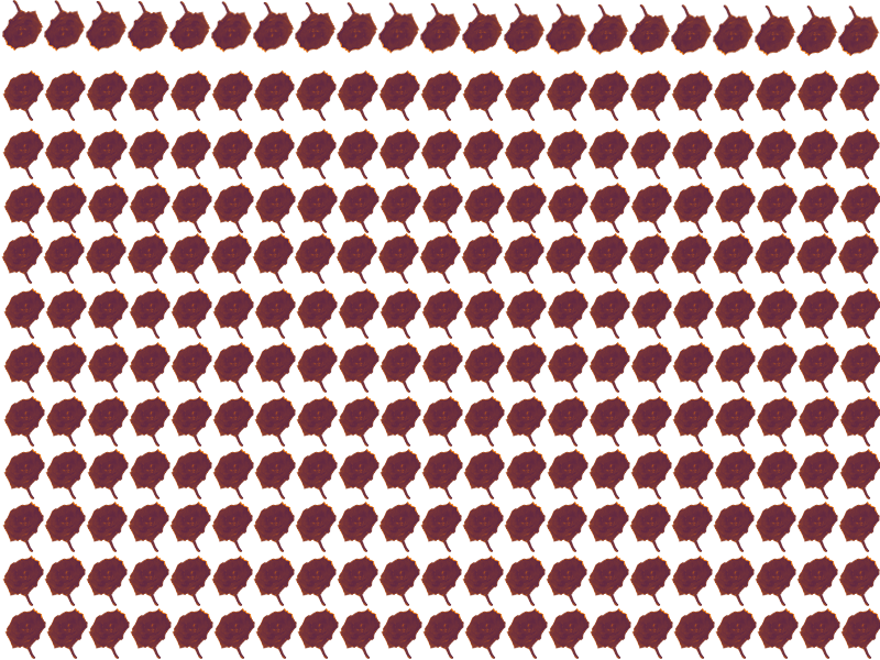 Border images / lines / design / pictures / background colors / background pictures