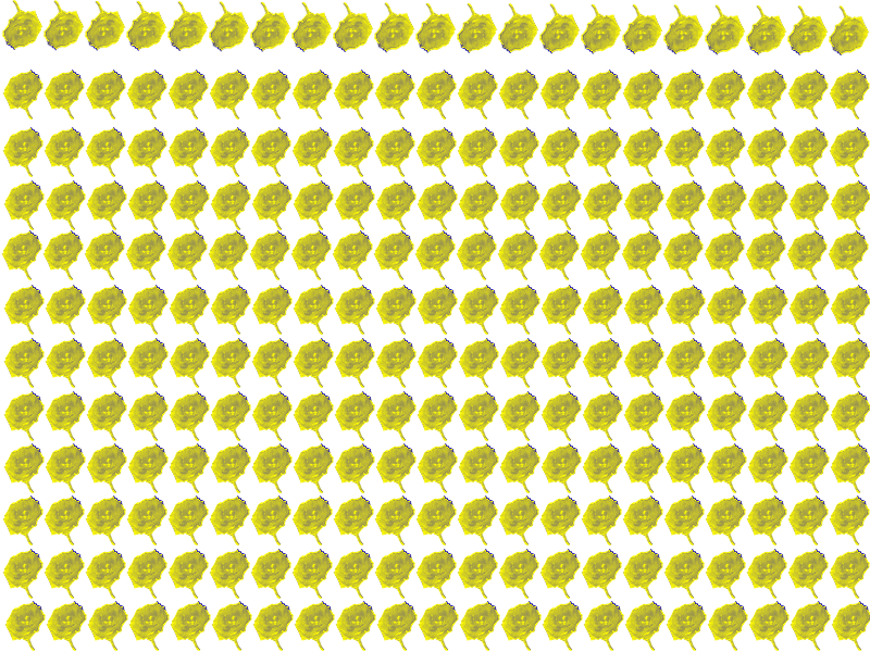 Border images / lines / design / pictures / background colors / background pictures