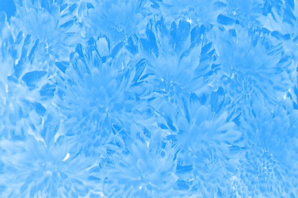 Border images / lines / design / pictures / background colors / background pictures