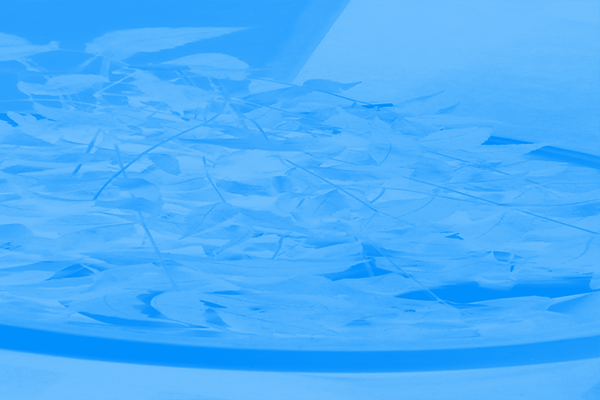 Border images / lines / design / pictures / background colors / background pictures