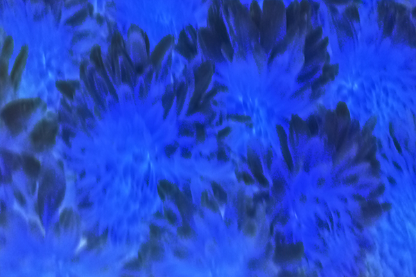 Border images / lines / design / pictures / background colors / background pictures