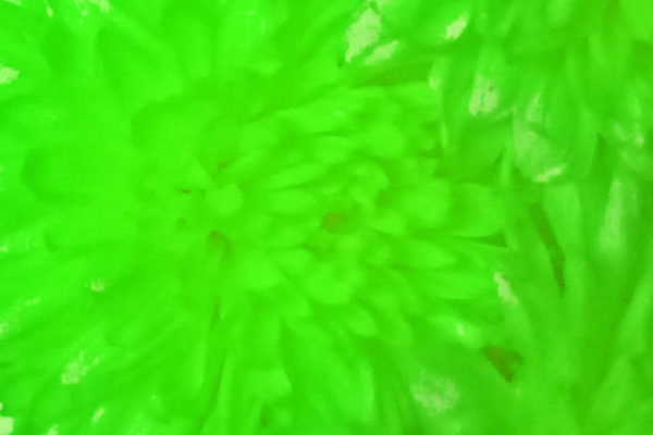 Border images / lines / design / pictures / background colors / background pictures