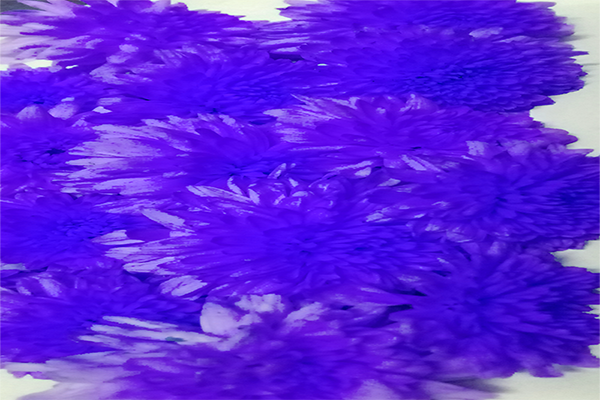 Border images / lines / design / pictures / background colors / background pictures