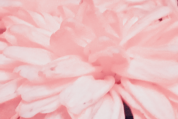 Border images / lines / design / pictures / background colors / background pictures