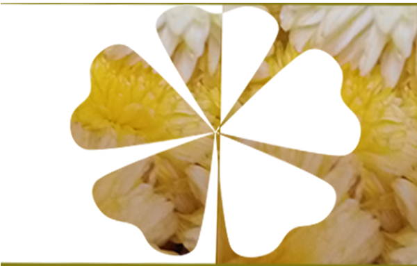 Border images / lines / design / pictures / background colors / background pictures