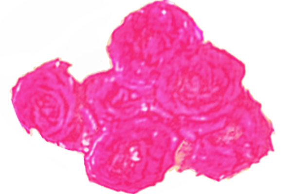 Border images / lines / design / pictures / background colors / background pictures