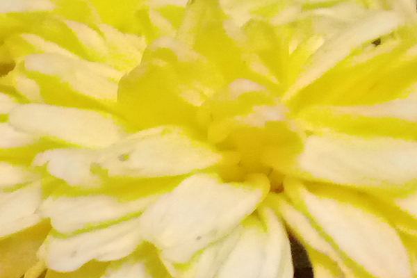 Border images / lines / design / pictures / background colors / background pictures