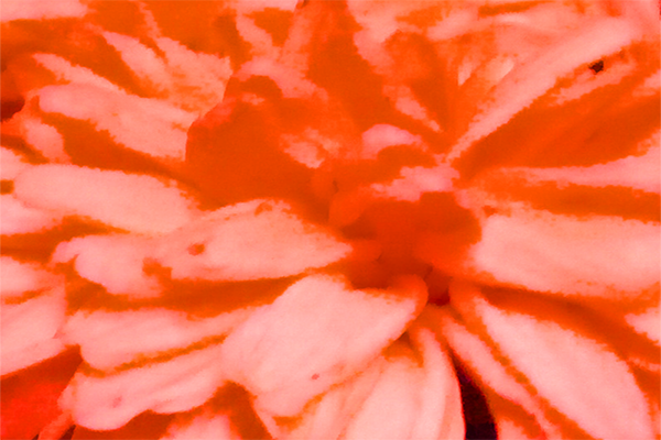 Border images / lines / design / pictures / background colors / background pictures