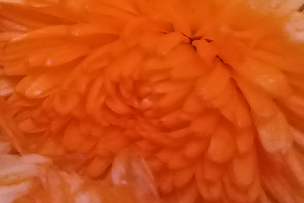 Border images / lines / design / pictures / background colors / background pictures