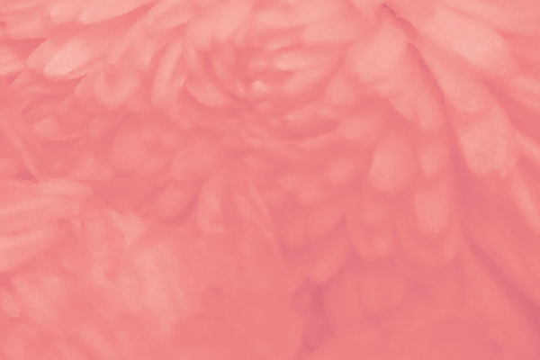 Border images / lines / design / pictures / background colors / background pictures