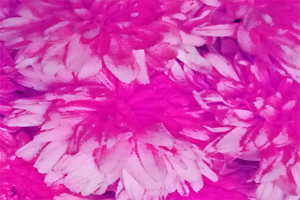 Border images / lines / design / pictures / background colors / background pictures