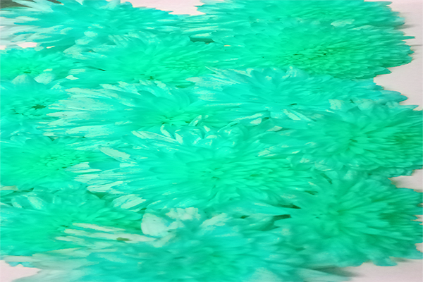 Border images / lines / design / pictures / background colors / background pictures