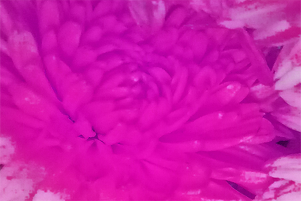 Border images / lines / design / pictures / background colors / background pictures