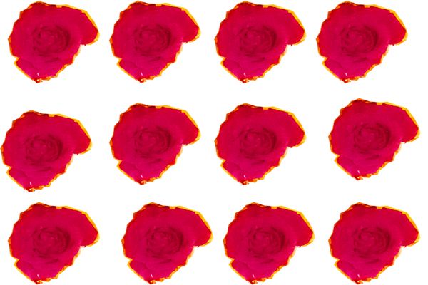 Border images / lines / design / pictures / background colors / background pictures