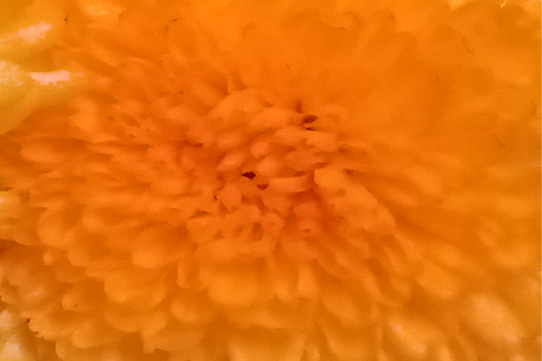 Border images / lines / design / pictures / background colors / background pictures