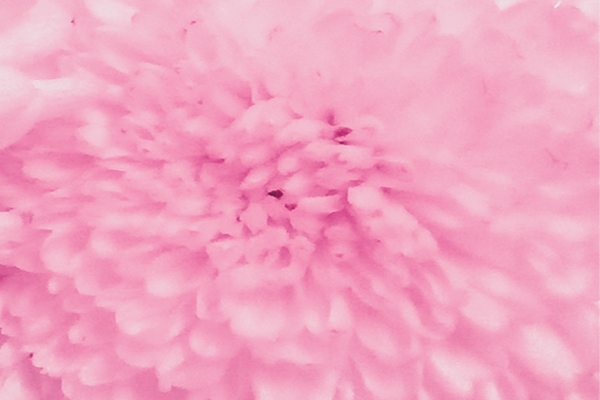 Border images / lines / design / pictures / background colors / background pictures