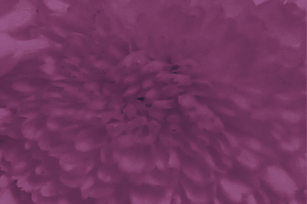 Border images / lines / design / pictures / background colors / background pictures