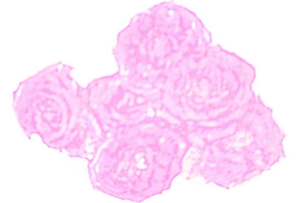 Border images / lines / design / pictures / background colors / background pictures