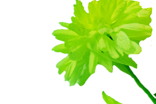 Border images / lines / design / pictures / background colors / background pictures