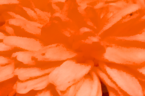 Border images / lines / design / pictures / background colors / background pictures