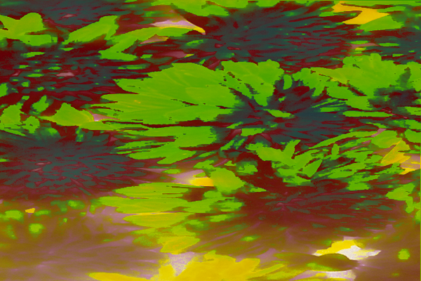 Border images / lines / design / pictures / background colors / background pictures