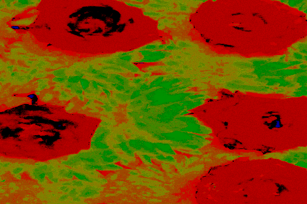 Border images / lines / design / pictures / background colors / background pictures